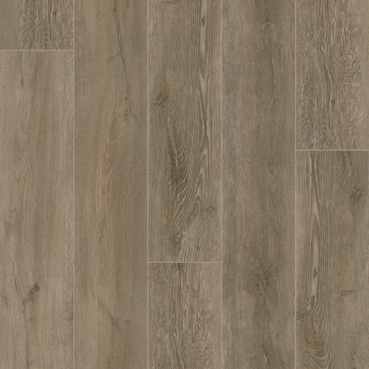 Forest Oak SPC Vinyl Plank Sample